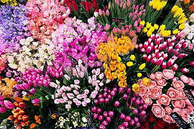 《黑相集：稀望镇》10月5日登陆任天堂Switch